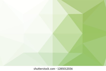 Light Green vector abstract polygonal texture. A completely new color illustration in a vague style. A new texture for your design.
