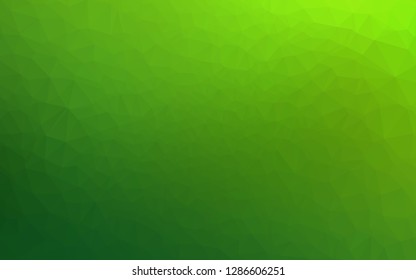 Light Green vector abstract polygonal texture. A sample with polygonal shapes. The best triangular design for your business.