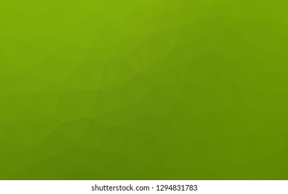 Light Green vector abstract polygonal cover. Colorful illustration in abstract style with gradient. Textured pattern for background.