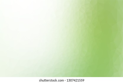Light Green vector abstract polygonal cover. Shining illustration, which consist of triangles. A new texture for your design.