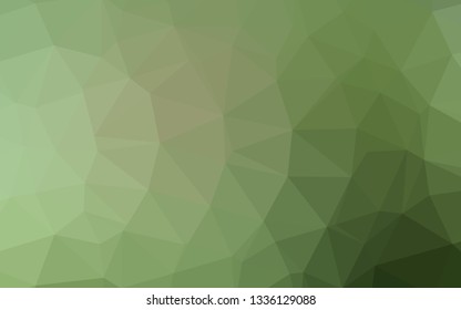 Light Green vector abstract polygonal texture. Shining illustration, which consist of triangles. Brand new design for your business.