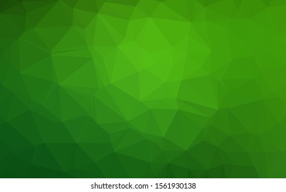 Light Green vector abstract polygonal cover. Colorful illustration in Origami style with gradient.  Textured pattern for background.