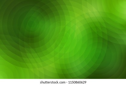Light Green vector backdrop with dots. Beautiful colored illustration with blurred circles in nature style. Pattern can be used for futuristic ad, booklets.