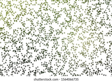 Light Green vector backdrop with dots. Illustration with set of shining colorful abstract circles. Design for business adverts.