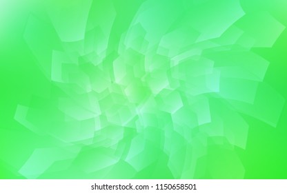 Light Green vector backdrop with hexagons. Illustration with set of colorful hexagons. New template for your brand book.