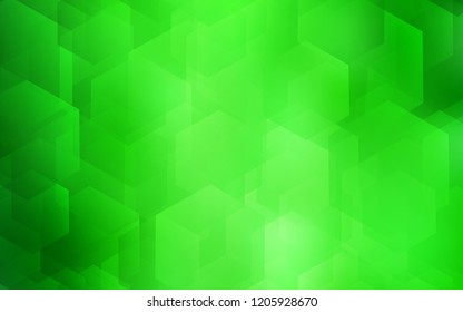 Light Green vector backdrop with hexagons. Design in abstract style with hexagons. New template for your brand book.