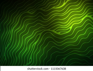 Light Green vector background with abstract lines. Colorful abstract illustration with gradient lines. Textured wave pattern for backgrounds.