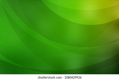 Light Green vector background with bent lines. Blurred geometric sample with gradient bubbles.  The elegant pattern for brand book.