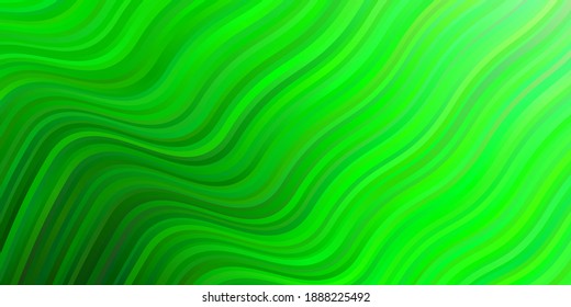 Light Green vector background with bows. Colorful geometric sample with gradient curves.  Design for your business promotion.