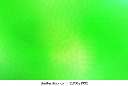 Light Green vector background with bubbles. Glitter abstract illustration with blurred drops of rain. Pattern can be used for ads, leaflets.