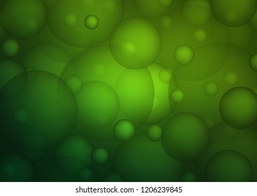 Light Green vector background with bubbles. Beautiful colored illustration with blurred circles in nature style. New design for ad, poster, banner of your website.