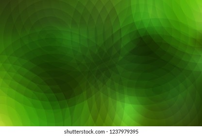Light Green vector background with bubbles. Beautiful colored illustration with blurred circles in nature style. Beautiful design for your business advert.