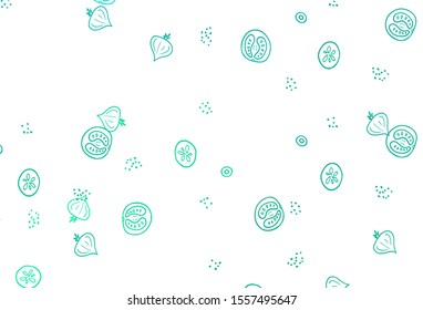 Light Green vector background with cuisine gourmet. Abstract background with colorful Fast Food illustrations. Design for ad, poster, banner of cafes or restaurants.