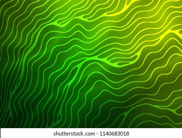 Light Green vector background with curved circles. Modern gradient abstract illustration with bandy lines. A completely new marble design for your business.