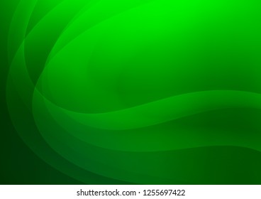 Light Green vector background with curved circles. An elegant bright illustration with gradient. A completely new template for your business design.