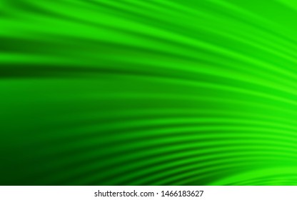 Light Green vector background with curved lines. A sample with colorful lines, shapes. The best colorful design for your business.