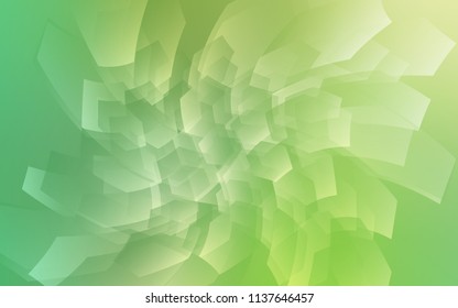 Light Green vector background with hexagons. Glitter abstract illustration in hexagonal style. New template for your brand book.