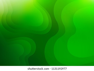 Light Green vector background with lamp shapes. Blurred geometric sample with gradient bubbles.  The elegant pattern for brand book.