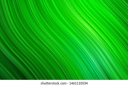 Light Green vector background with liquid shapes. Blurred geometric sample with gradient bubbles.  A new texture for your  ad, booklets, leaflets.