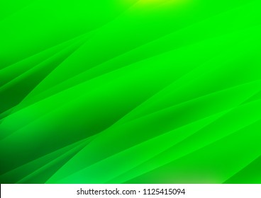 Light Green vector background with straight lines. Shining colored illustration with narrow lines. The template can be used as a background.