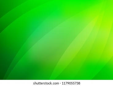 Light Green vector background with straight lines. Glitter abstract illustration with colored sticks. Smart design for your business advert.