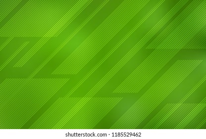 Light Green vector background with straight lines. Shining colored illustration with sharp stripes. The pattern for ad, booklets, leaflets.