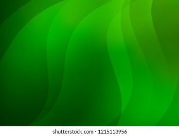 Light Green vector background with straight lines. Modern geometrical abstract illustration with staves. Best design for your ad, poster, banner.