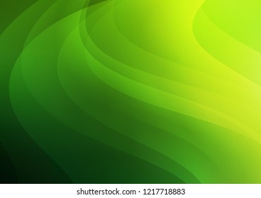 Light Green vector background with straight lines. Lines on blurred abstract background with gradient. The template can be used as a background.