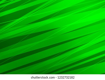 Light Green vector background with straight lines. Decorative shining illustration with lines on abstract template. The pattern can be used for websites.