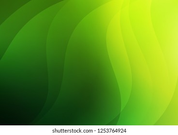Light Green vector background with straight lines. Shining colored illustration with narrow lines. Best design for your ad, poster, banner.