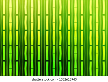 Light Green vector background with straight lines. Modern geometrical abstract illustration with staves. The pattern can be used for busines ad, booklets, leaflets