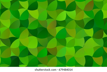 Light Green vector banner with circles, spheres. Abstract spots. Background of Art bubbles in halftone style with colored gradient.