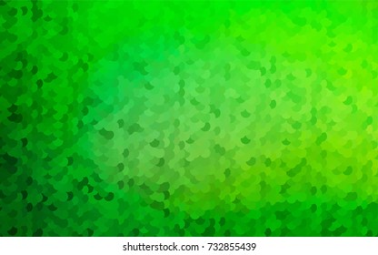 Light Green vector banner with circles, spheres. Abstract spots. Background of Art bubbles in halftone style with colored gradient.