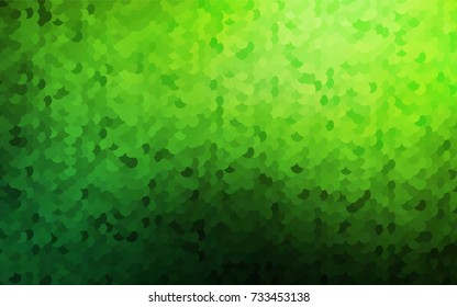 Light Green vector banner with circles, spheres. Abstract spots. Background of Art bubbles in halftone style with colored gradient.
