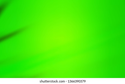 Light Green vector blurred bright texture. An elegant bright illustration with gradient. The best blurred design for your business.