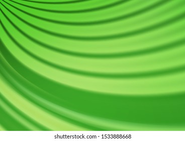 Light Green vector blurred bright background. Glitter abstract illustration with an elegant design. A new texture for your design.