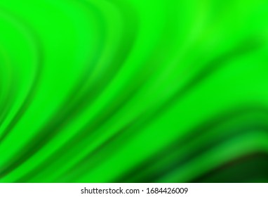Light Green vector blurred bright texture. Colorful abstract illustration with gradient. New design for your business.