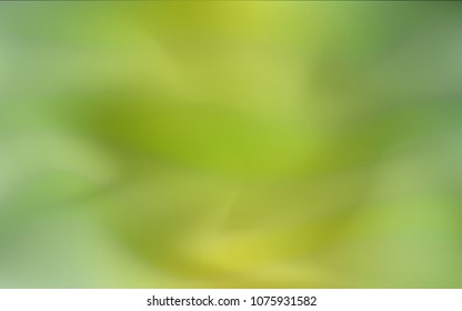 Light Green vector blurred and colored backdrop. Shining colored illustration in a brand-new style. The textured pattern can be used for background.