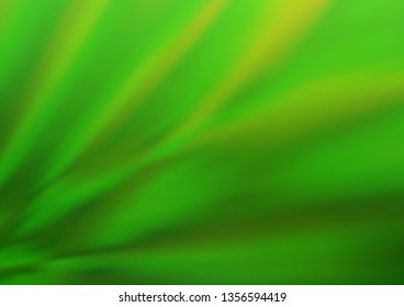 Light Green vector blurred and colored template. Glitter abstract illustration with an elegant design. A new texture for your design.