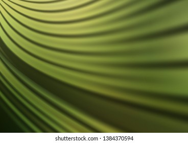 Light Green vector blurred and colored background. Creative illustration in halftone style with gradient. The blurred design can be used for your web site.