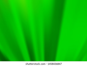 Light Green vector blurred and colored background. Creative illustration in halftone style with gradient. A completely new template for your design.