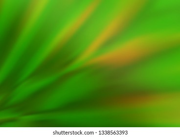 Light Green vector blurred shine abstract pattern. Colorful illustration in abstract style with gradient. The elegant pattern for brand book.