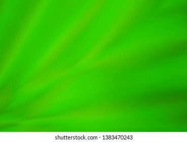 Light Green vector blurred shine abstract template. An elegant bright illustration with gradient. The blurred design can be used for your web site.