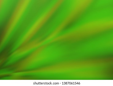 Light Green vector blurred shine abstract template. Modern geometrical abstract illustration with gradient. The elegant pattern for brand book.