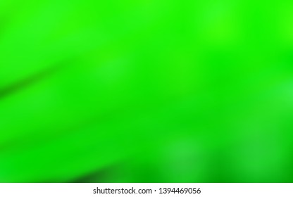 Light Green vector blurred shine abstract template. Glitter abstract illustration with gradient design. Blurred design for your web site.