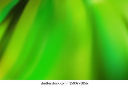 Light Green vector blurred shine abstract texture. Glitter abstract illustration with gradient design. Elegant background for a brand book.
