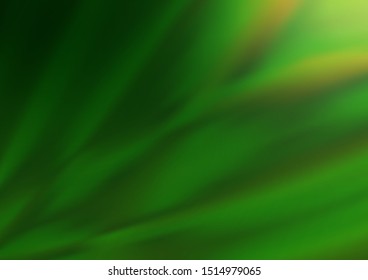 Light Green vector blurred shine abstract pattern. A completely new color illustration in a bokeh style. A completely new template for your design.