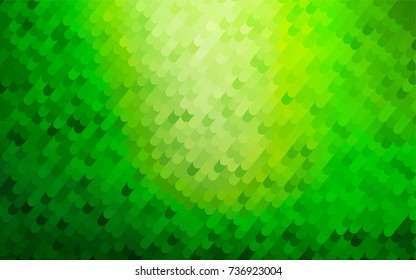 Light Green vector blurry arched template. An elegant bright illustration with gradient. The template can be used as a background for cell phones.
