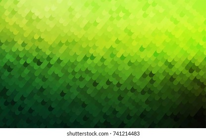Light Green vector blurry arched template. Curved geometric sample with gradient.  A completely new design for your business.