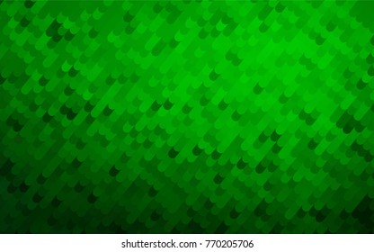 Light Green vector blurry arched template. Brand-new colored illustration in blurry style with gradient. The textured pattern can be used for background.